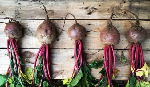 beetroot