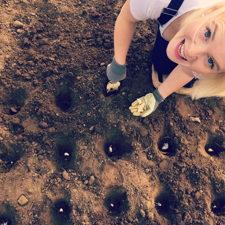 1051306F-20EE-44CF-BC9A-65BDB94D2B62