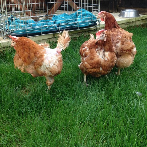 2B159F00-3EF7-4946-94EC-DA36D5A42E8D