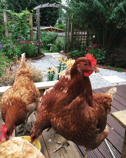 A549CE03-FF76-4637-90D8-1CD64AAA7B9E