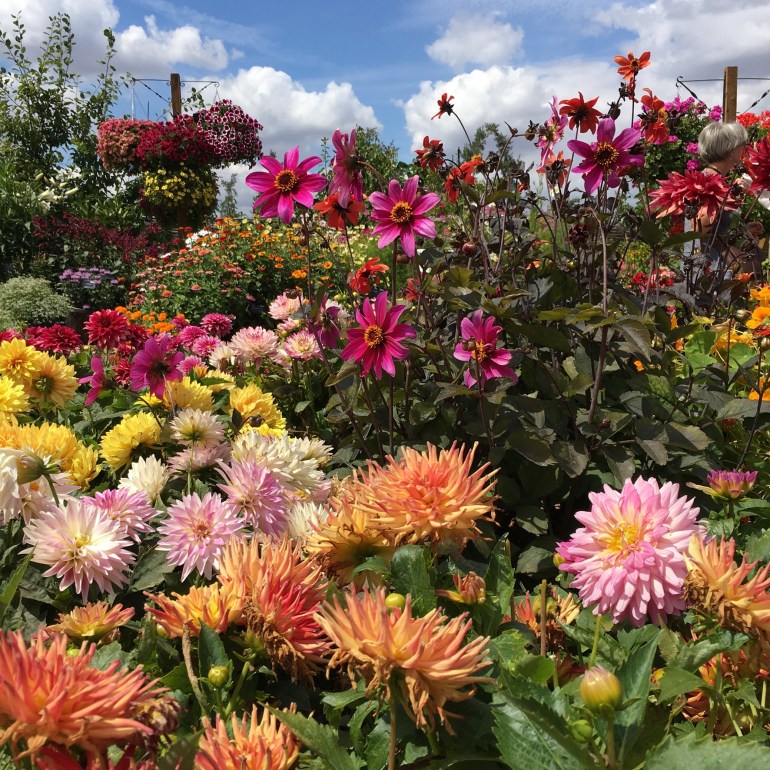 A4C77816-E09F-4826-A5EB-53FFA9F0E4E8