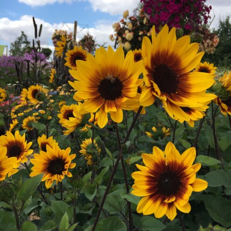 C3DD4EF8-15D7-405D-ABA6-BD3F96CD8468